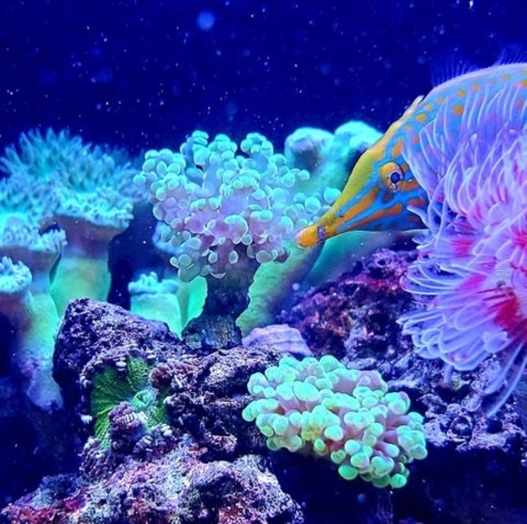 Meet your Posher, Kelli - Picture 1 of 1